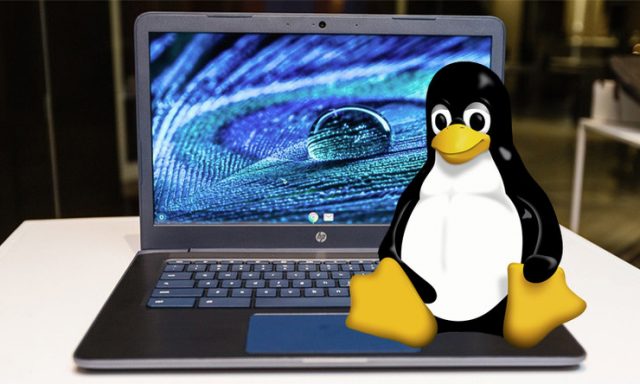 Как запустить Linux на вашем Chromebook