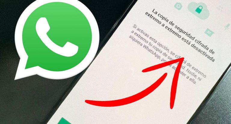Активируйте эту функцию WhatsApp, чтобы Google или Facebook не шпионили за вашими разговорами.