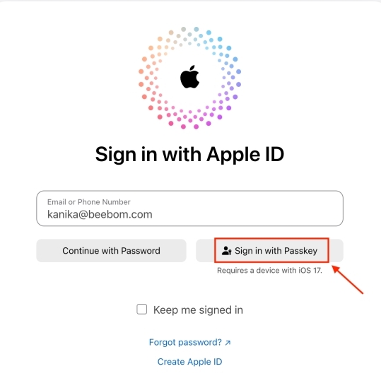 Как войти в свою учетную запись Apple с помощью паролей в iOS 17